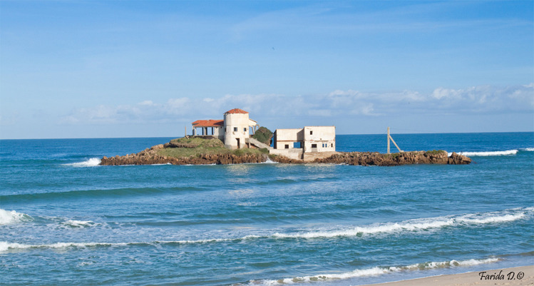 مدينة الطارف